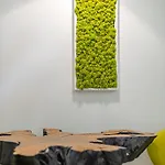 Modern White Moss Center