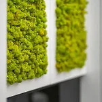 Διαμέρισμα Modern White Moss Center *