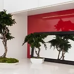 Modern White Moss Center