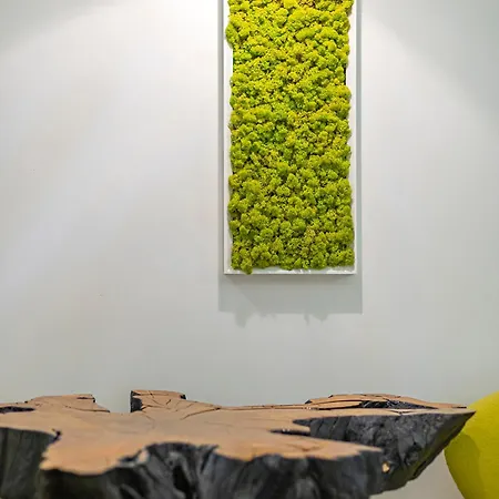 Modern White Moss Center