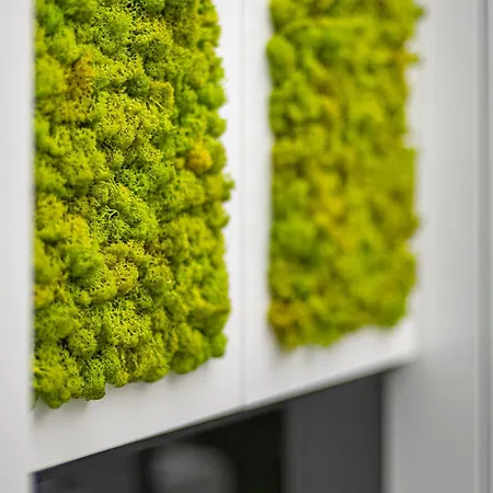 Apartamento Modern White Moss Center *
