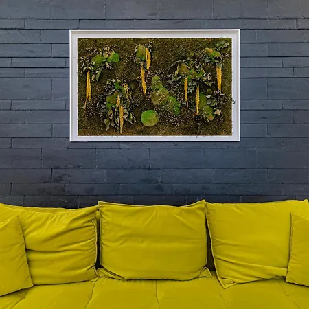 Modern White Moss Center * كاوناس