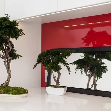Modern White Moss Center