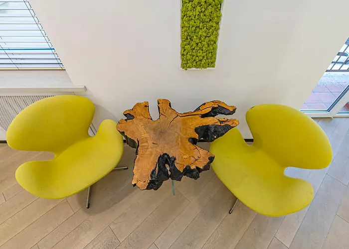 Modern White Moss Center Kaunas