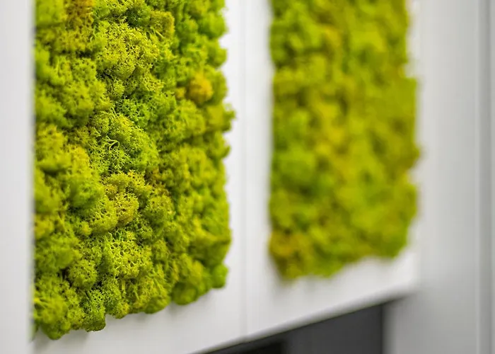 Appartement Modern White Moss Center *