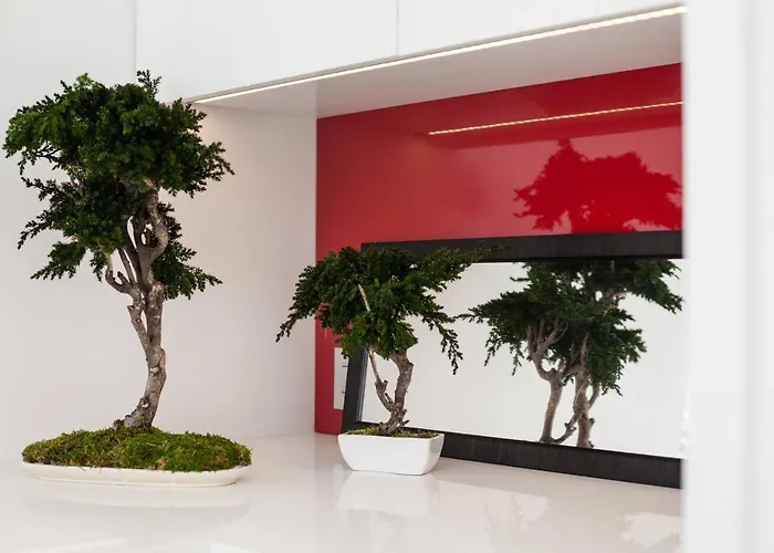 Modern White Moss Center